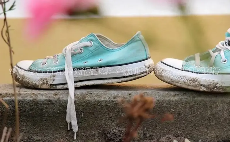 鲸鱼体育app官方下载最新版