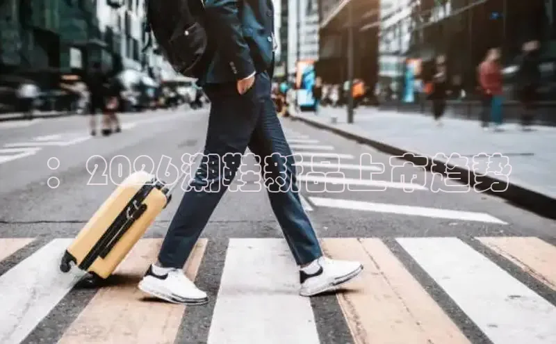 鲸鱼体育免费观看入口